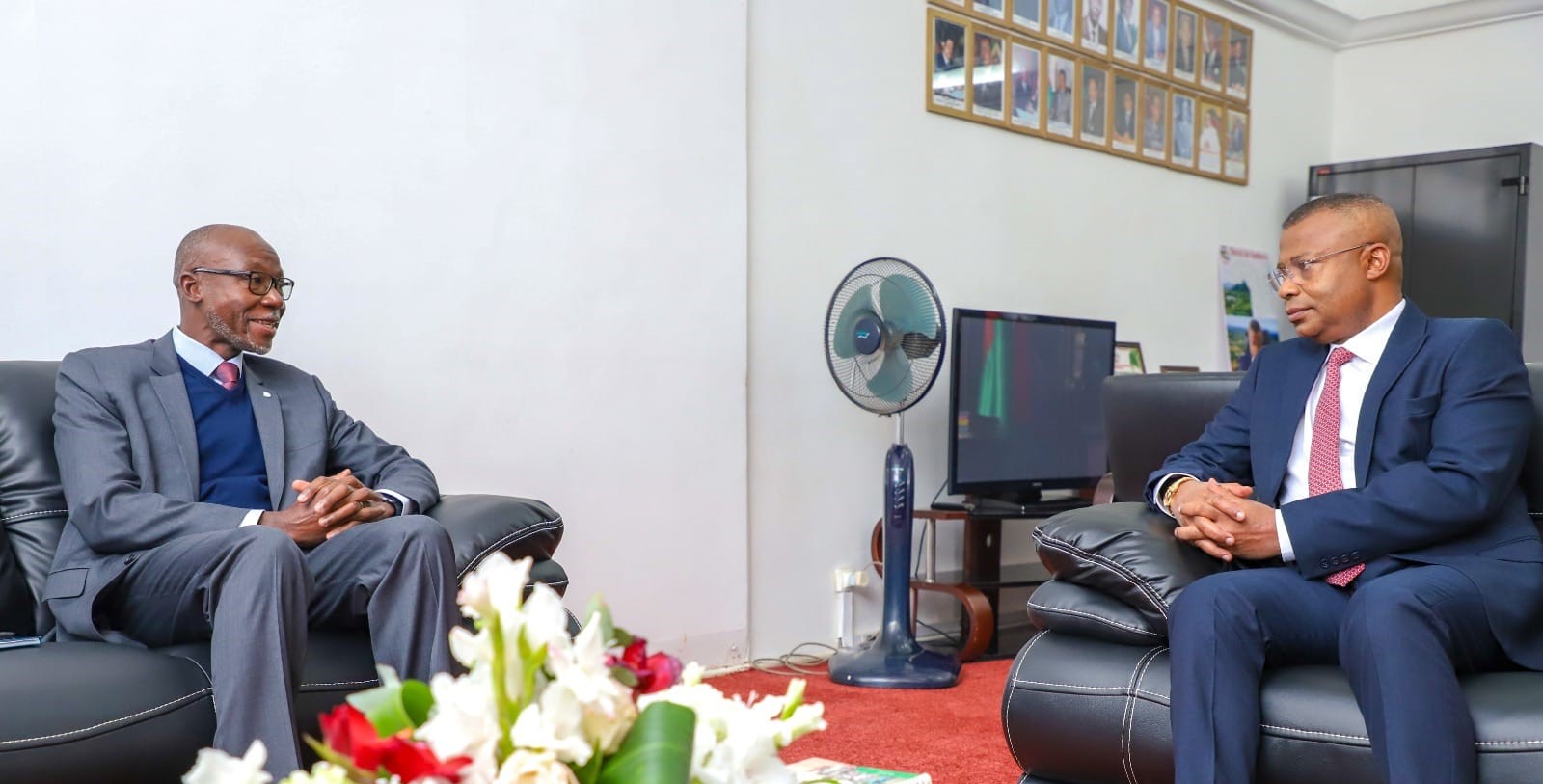 Visite de courtoisie et d'adieu de M. Issa Sanogo à l'Assemblée nationale