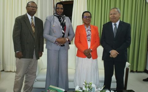 Rencontre entre l’Assemblée nationale et la Commission de l’Union Africaine : La médiation au centre des discussions