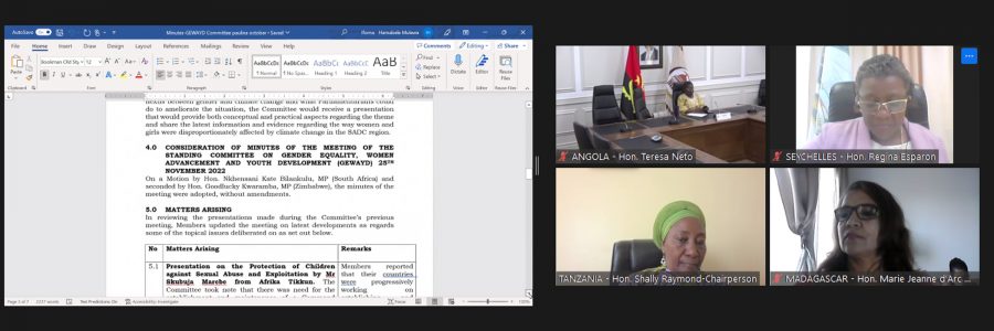 FP-SADC: Commission permanente sur l’égalité des genres, la promotion de la femme et le développement de la jeunesse