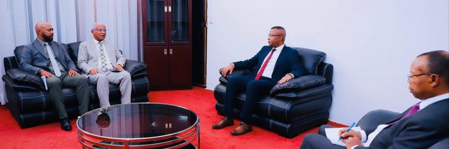 Le nouveau Président du CSI en visite de courtoisie au Président de l’Assemblée nationale