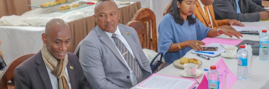 Réunion du Groupe national de travail sur la SDSR et le VIH/SIDA à l’Assemblée nationale