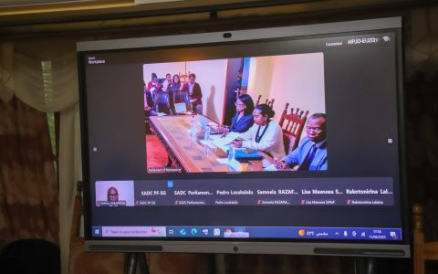 Un webinaire sur les leçons électorales de 2024 dans la région SADC