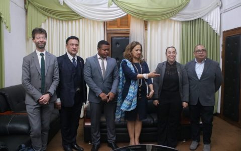 L’APF réaffirme son soutien au Parlement malgache en pleine transition