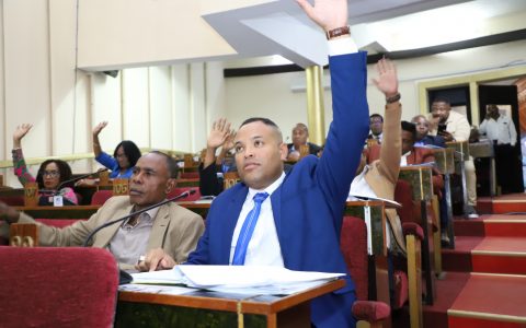 Adoption de plusieurs projets de loi par les députés